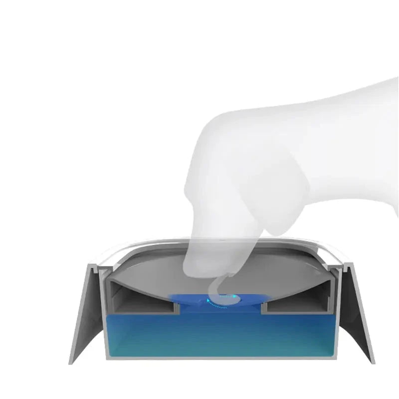 anti-spill pet water bowl