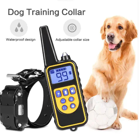 electric dog training collar