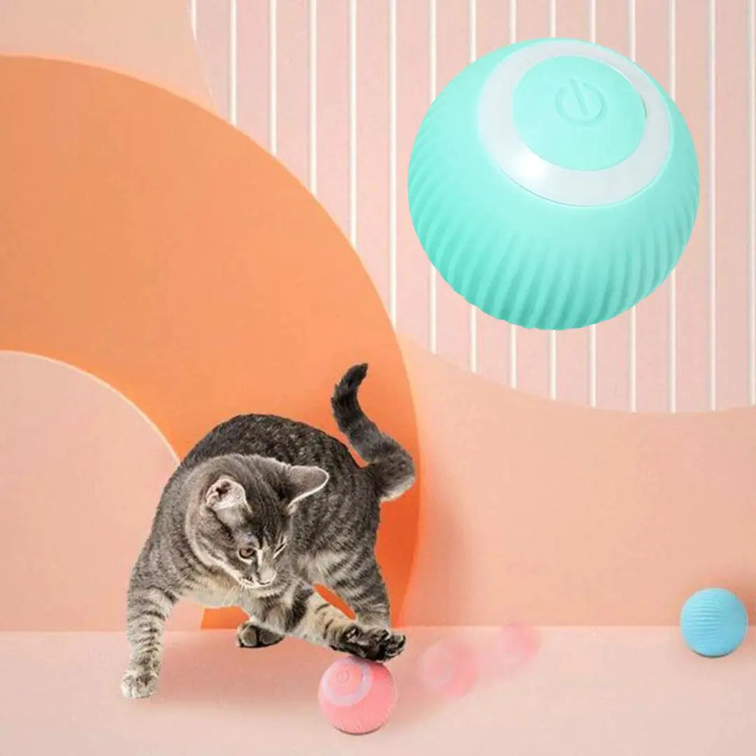 smart cat interactive ball