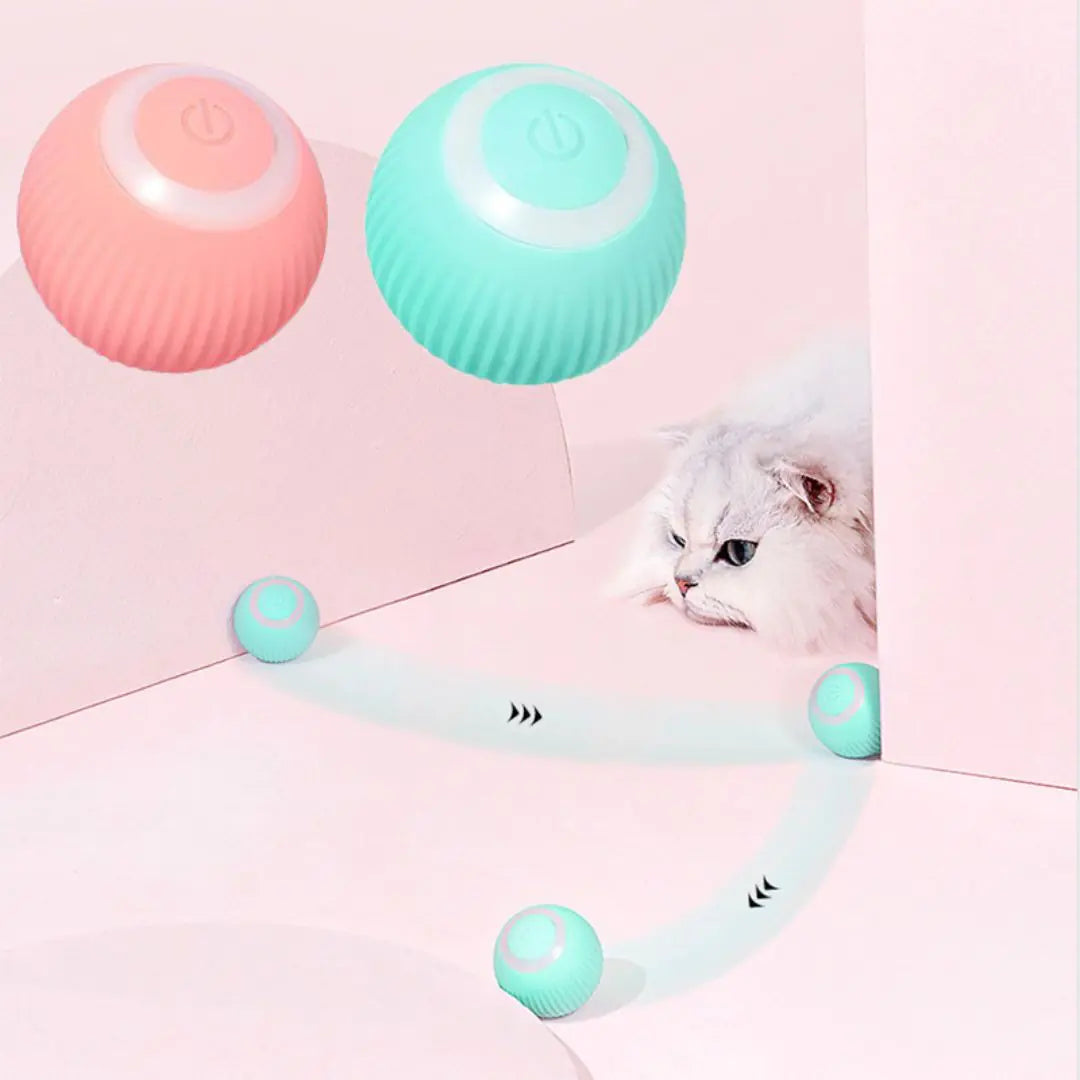 smart cat interactive ball