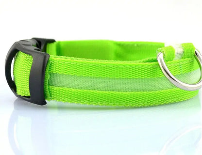 Dog Led Night Collar