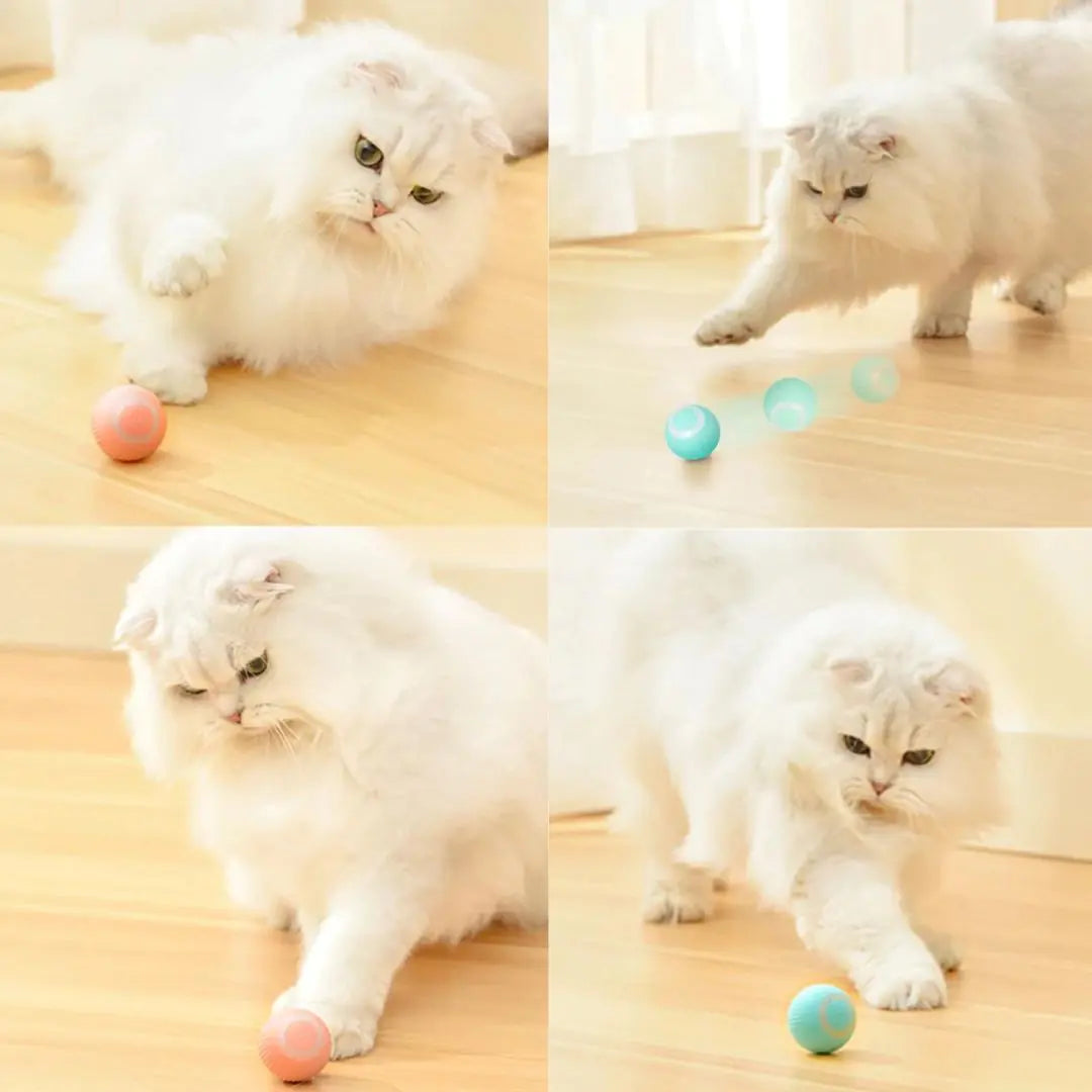 smart cat interactive ball