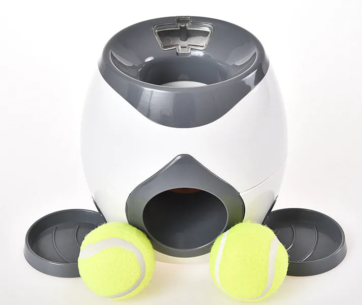 automatic dog ball thrower