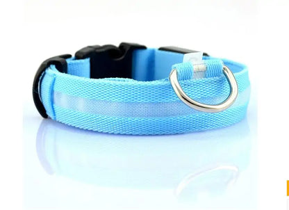 Dog Led Night Collar