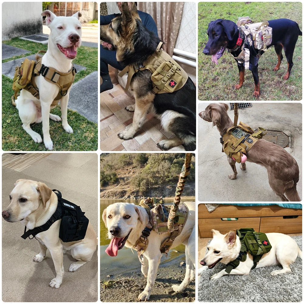 large dog harness gear