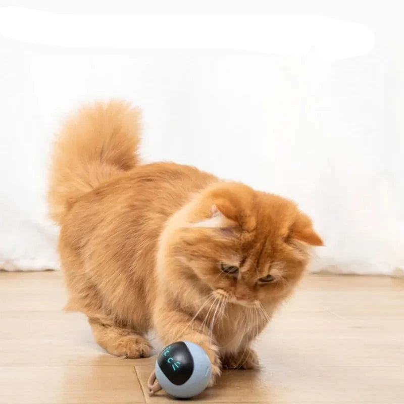 usb rechargeable cat bal toy