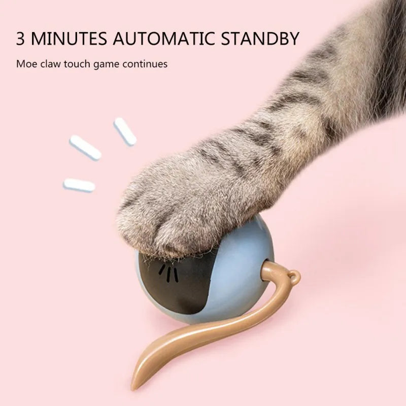 usb rechargeable cat bal toy