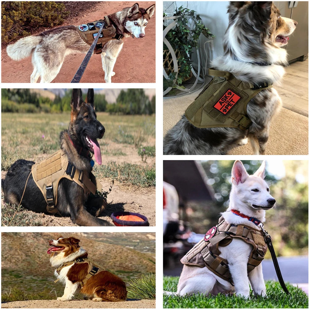 large dog harness gear