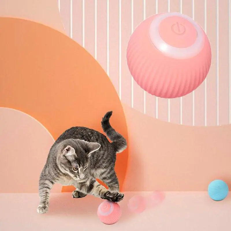 smart cat interactive ball