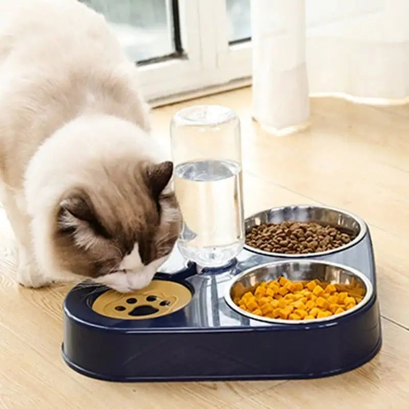 all-in-one pet feeder