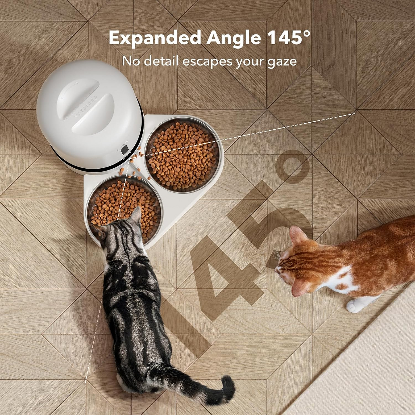 smart dual cat feeder with camera