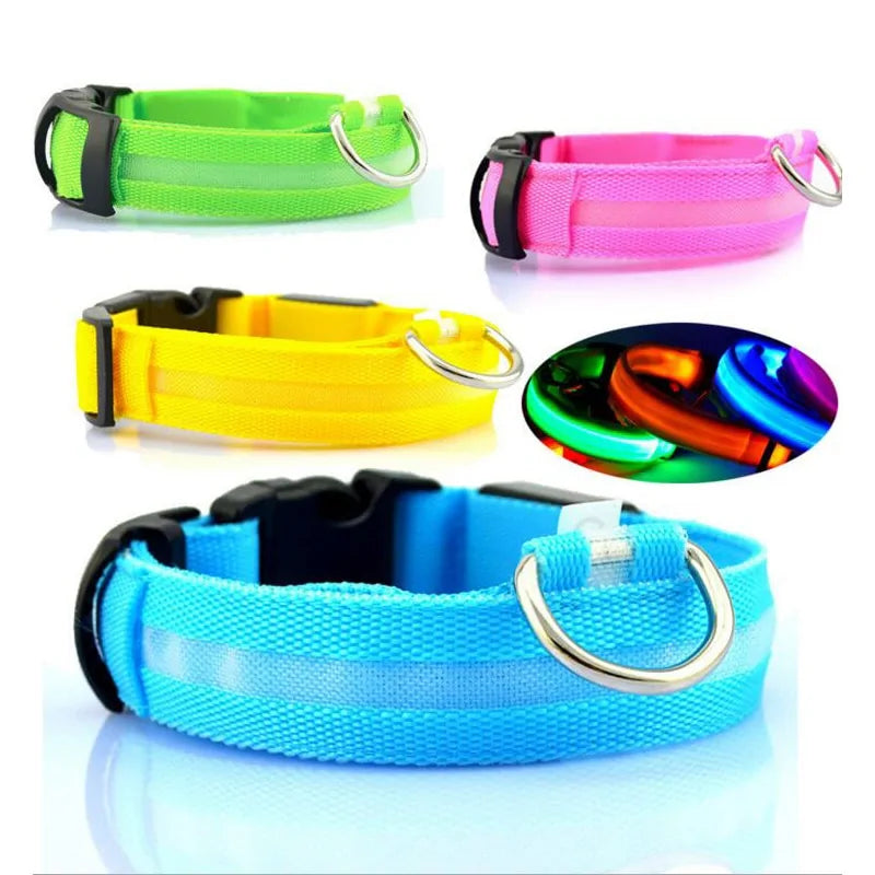 dog led night collar