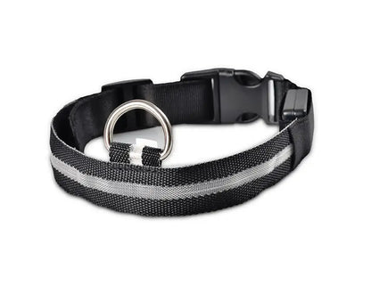 Dog Led Night Collar