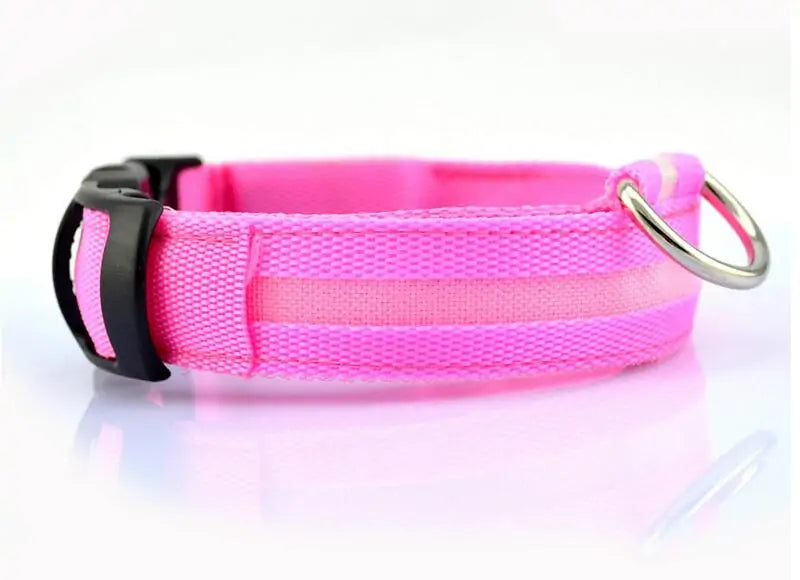 dog led night collar